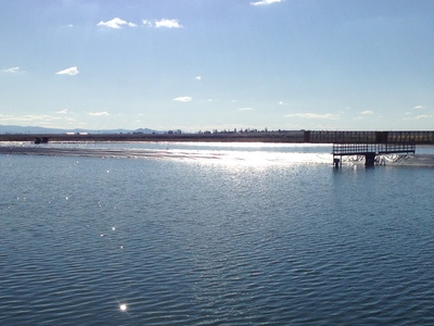 a sewage treatment pond