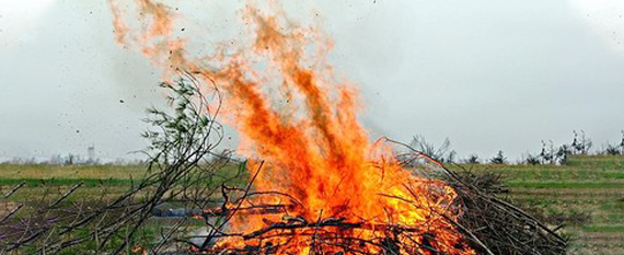 A brush pile on fire